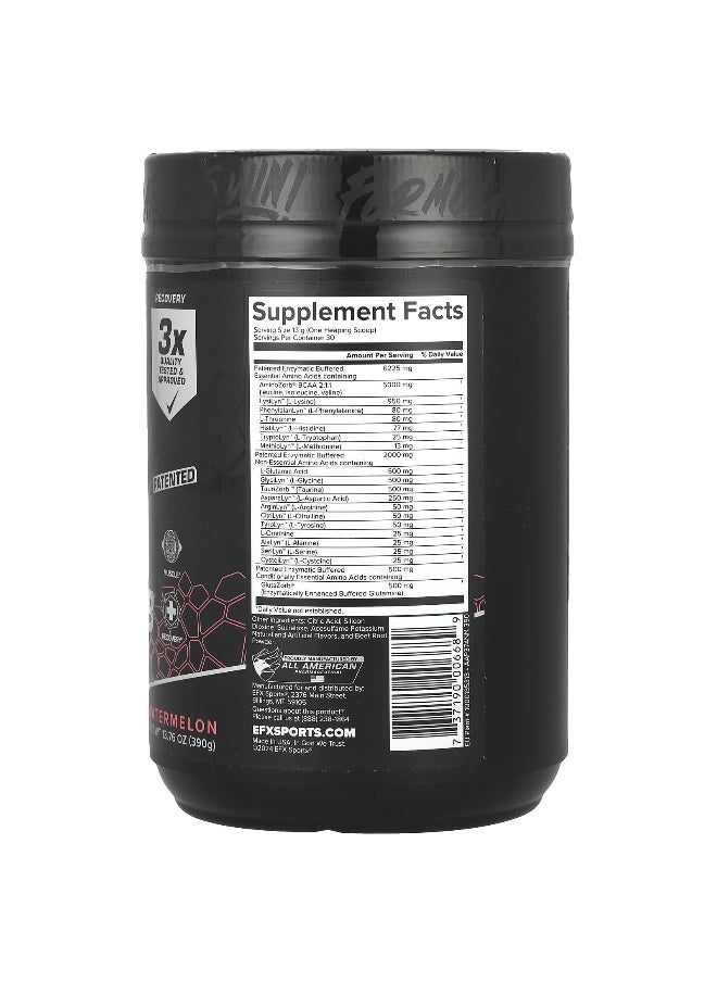 EFX Sports, AminoZorb® Elite 21, Watermelon, 13.76 oz (390 g)