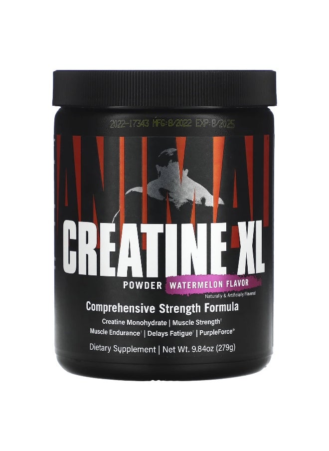 Animal, Creatine XL Powder, Watermelon, 9.84 oz (278 g)