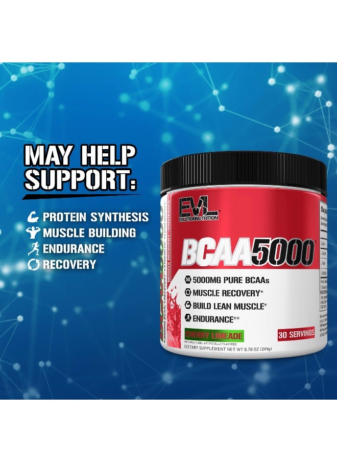 EVLution Nutrition, BCAA5000®, Cherry Limeade, 8.78 oz (249 g)