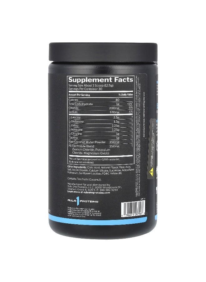 Rule One Proteins, Active BCAA, Orange, 13.23 oz (375 g)