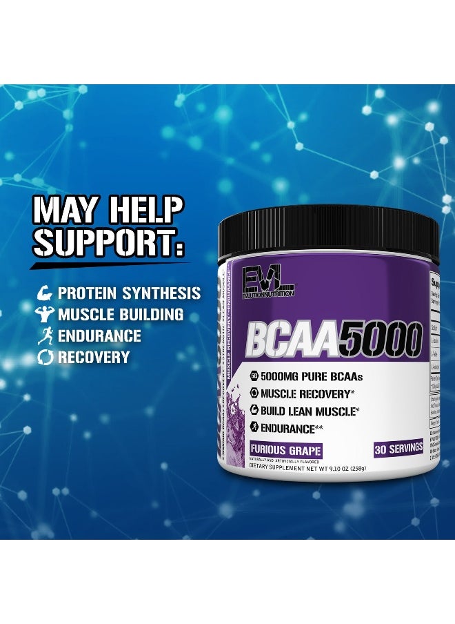 EVLution Nutrition, BCAA5000®, Furious Grape, 9.1 oz (258 g)