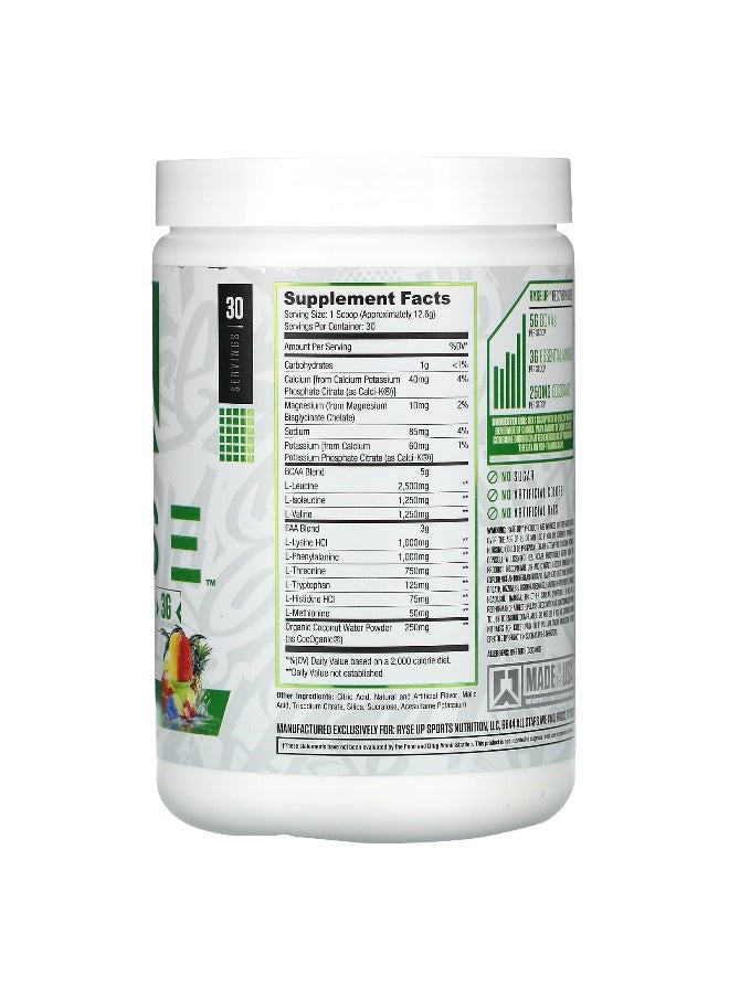 RYSE, BCAA / EAA, Tropical Snocone, 13.3 oz (378 g)
