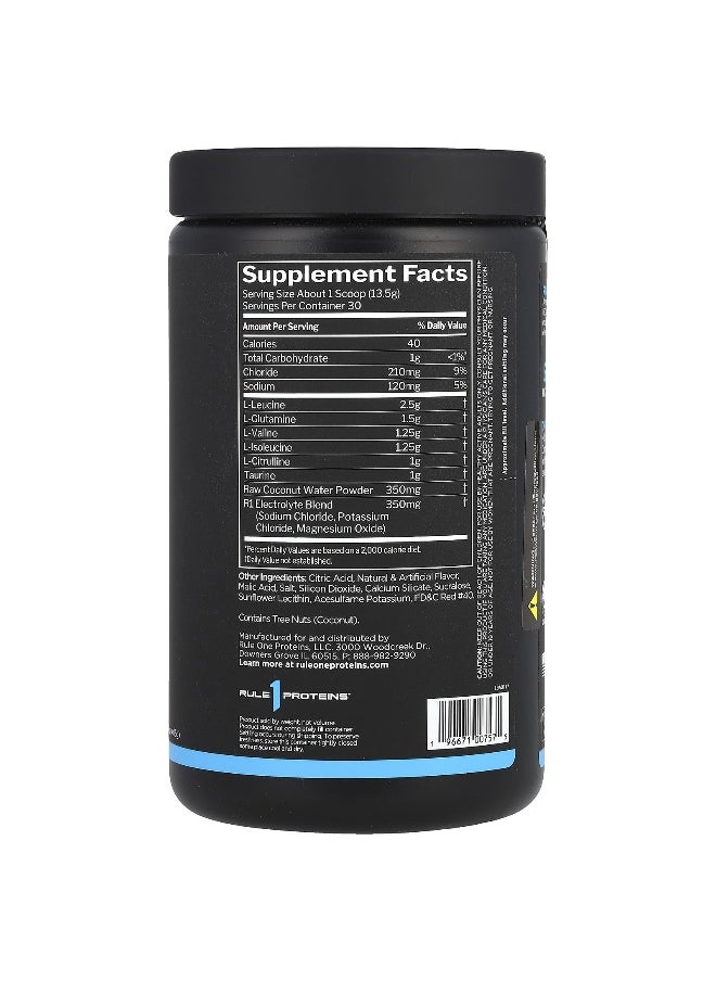 Rule One Proteins, Active BCAA, Fruit Punch, 14.29 oz (405 g)