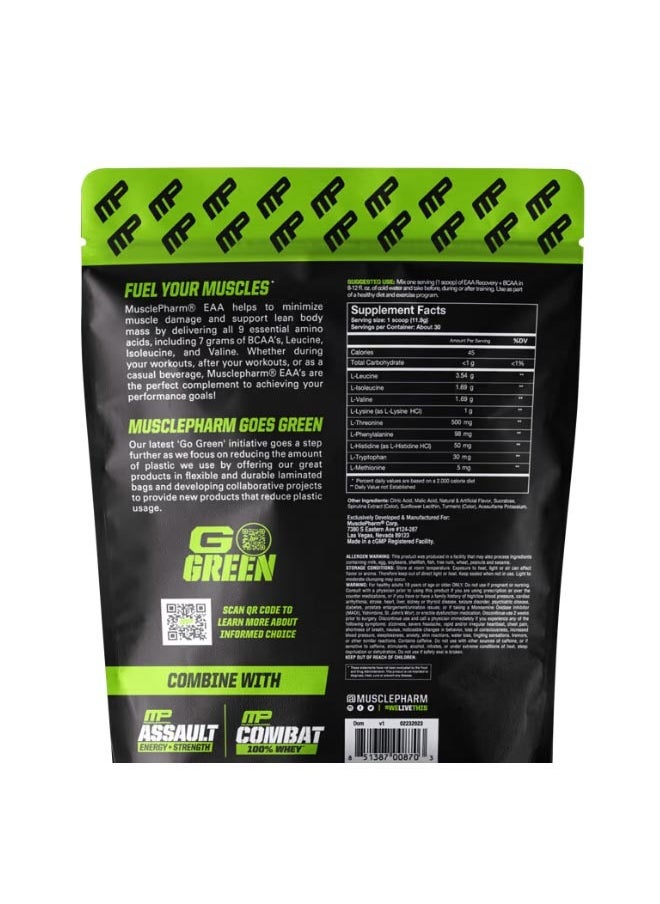 EAA Recovery  BCAA Watermelon Crush 12.9 oz 366 g