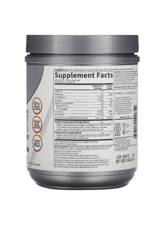 Garden of Life, Sport, Organic Plant-Based Energy + Focus, Pre-Workout, Blackberry Cherry, 8.1 oz (231 g)
