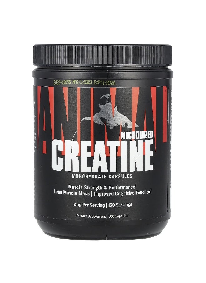 Animal, Micronized Creatine, 2,500 mg, 300 Capsules