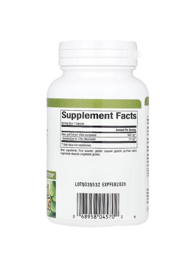 Natural Factors, HerbalFactors®, Olive Leaf, 500 mg, 90 Capsules