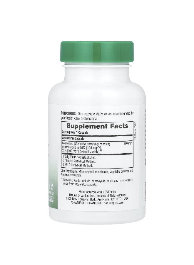 NaturesPlus, Herbal Actives, Boswellin®, 300 mg, 60 Capsules