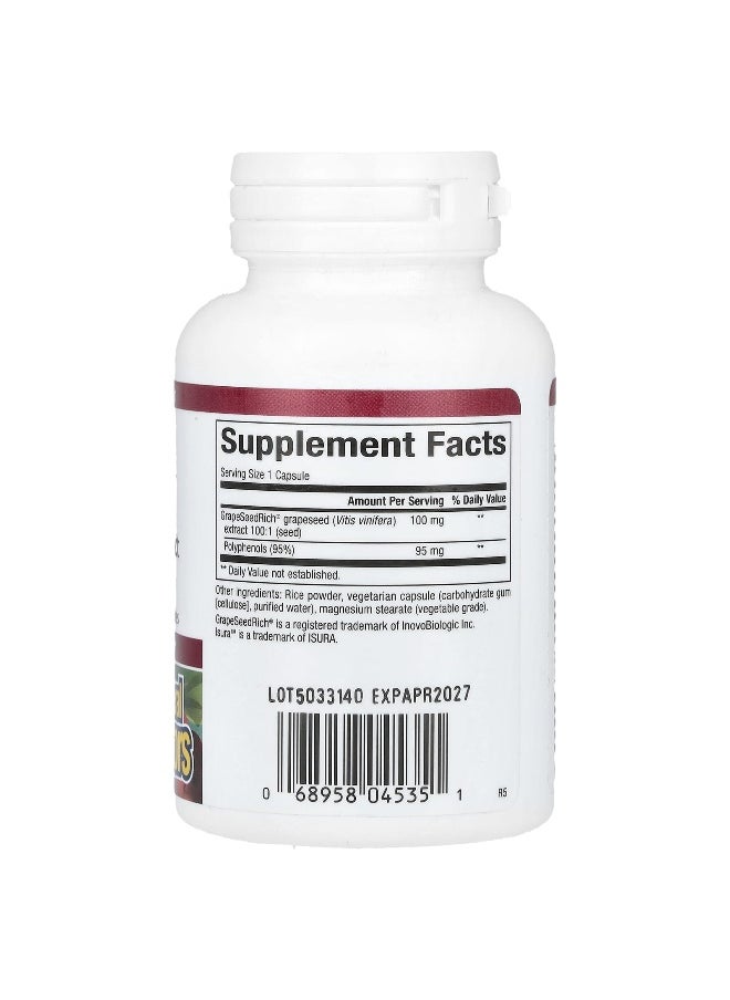 Natural Factors, GrapeSeedRich, Grape Seed Extract, 100 mg, 60 Vegetarian Capsules