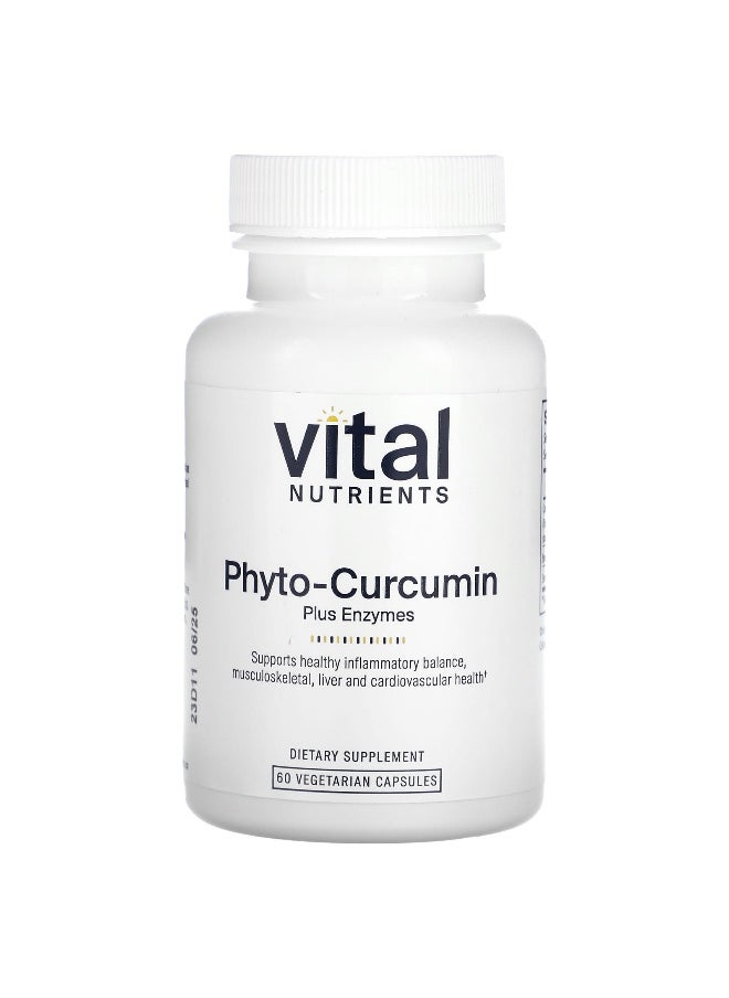 Vital Nutrients, Phyto-Curcumin Plus Enzymes , 60 Vegetarian Capsules