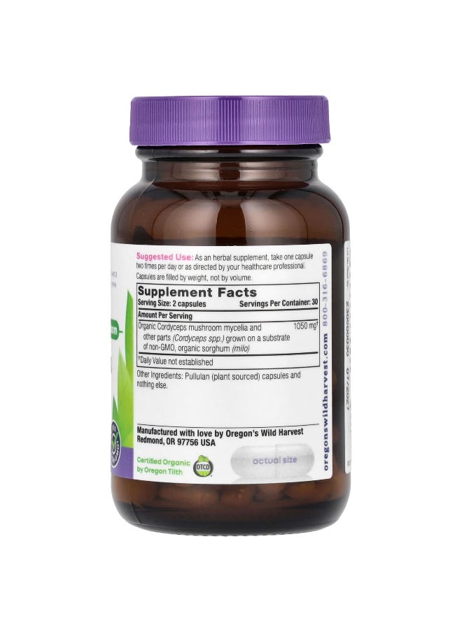 Oregon's Wild Harvest, Cordyceps, 1,050 mg, 60 Vegan Capsules (525 mg per Capsule)