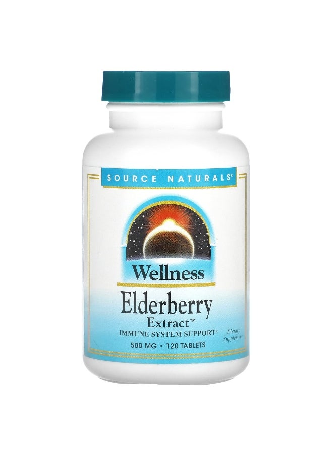 Source Naturals, Wellness, Elderberry Extract, 500 mg, 120 Tablets (166 mg per Tablet)