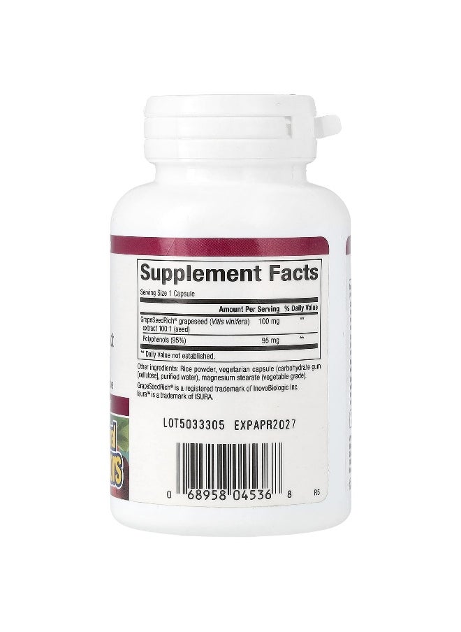 Natural Factors, GrapeSeedRich, Grape Seed Extract, 100 mg, 90 Vegetarian Capsules