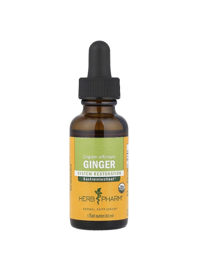Herb Pharm, Ginger, 598 mg, 1 fl oz (30 ml)