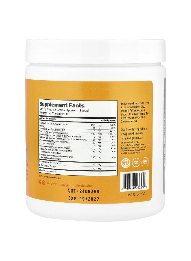 JUNP Hydration, Electrolyte Powder Mix, Orange, 14.2 oz (405 g)