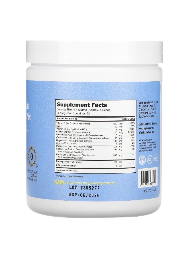 JUNP Hydration, Electrolyte Powder Mix, Berry Lemonade, 14.9 oz (423 g)