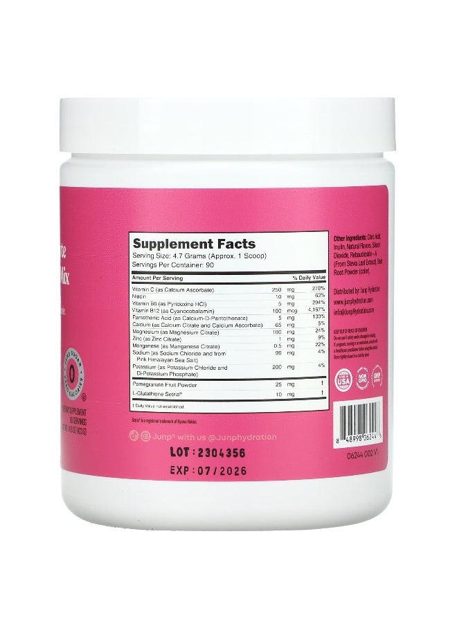 JUNP Hydration, Electrolyte Powder Mix, Dragonfruit Limeade, 14.9 oz (423 g)