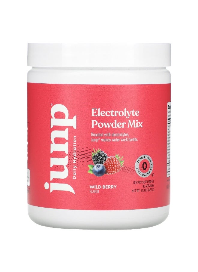 JUNP Hydration, Electrolyte Powder Mix, Wild Berry, 14.9 oz (423 g)