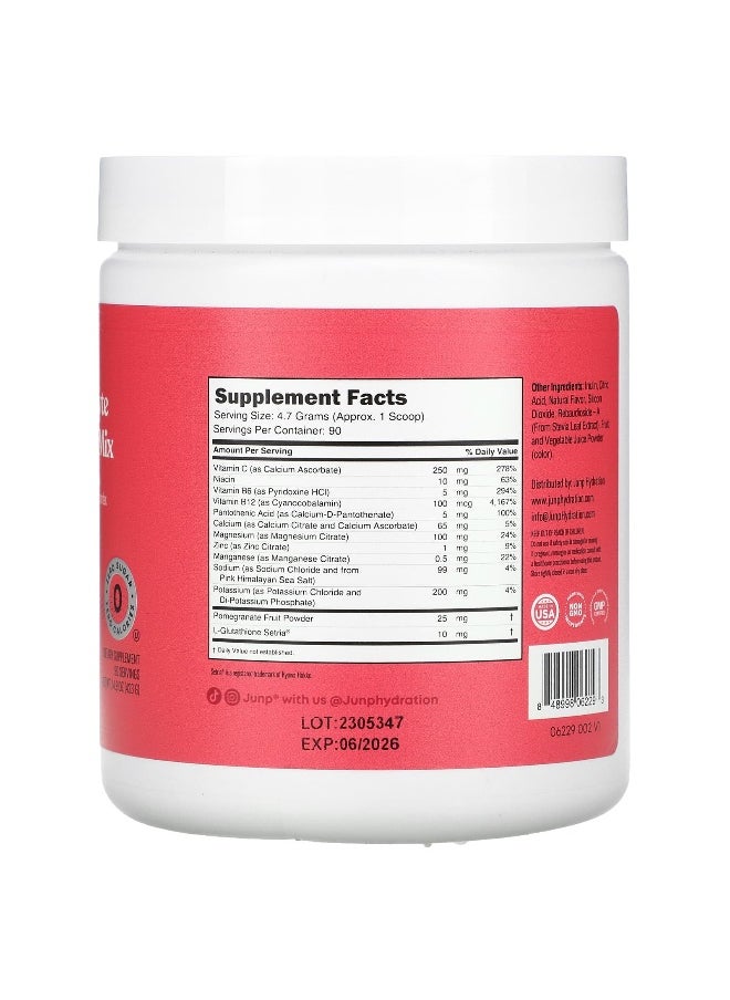JUNP Hydration, Electrolyte Powder Mix, Wild Berry, 14.9 oz (423 g)