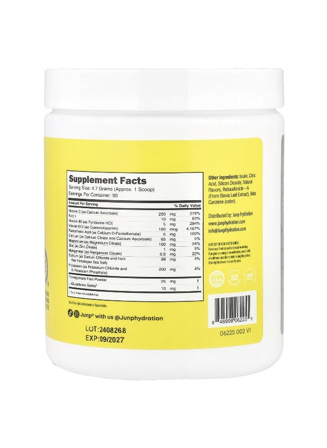 JUNP Hydration, Electrolyte Powder Mix, Lemonade, 14.9 oz (423 g)