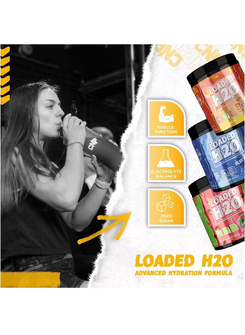 CNP Loaded H20 300g Big Juicy Melons