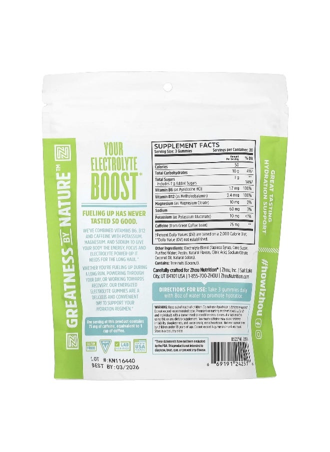 Zhou Nutrition, Hydro-Fuel Gummies, Cool Blue Freeze, 60 Gummies