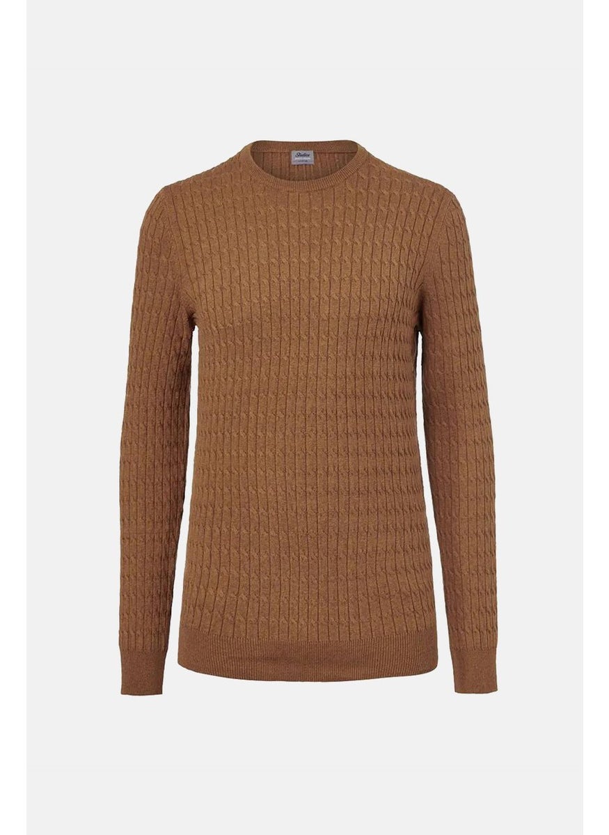 Men Crew Neck Long Sleeve Textured Sweater, Brown