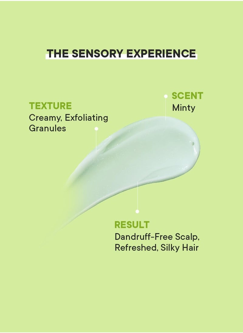 Dandruff Control Scalp Scrub With Tea Tree Extracts | Eliminates Dandruff, Flakes & Itchiness | Clears Scalp Of Dead Skin & Oil Buildup | Made In Korea (200Ml)