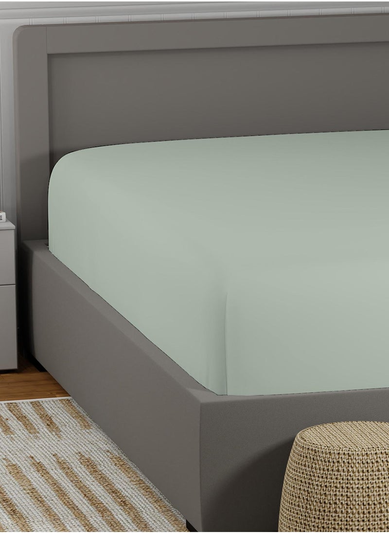 Solid 1 Fitted Sheet Super King Cotton:Polyester Soft Green 205x200cm
