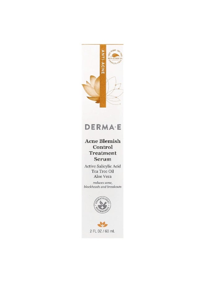 DERMA E, Acne Blemish Control Treatment Serum, 2 fl oz (60 ml)