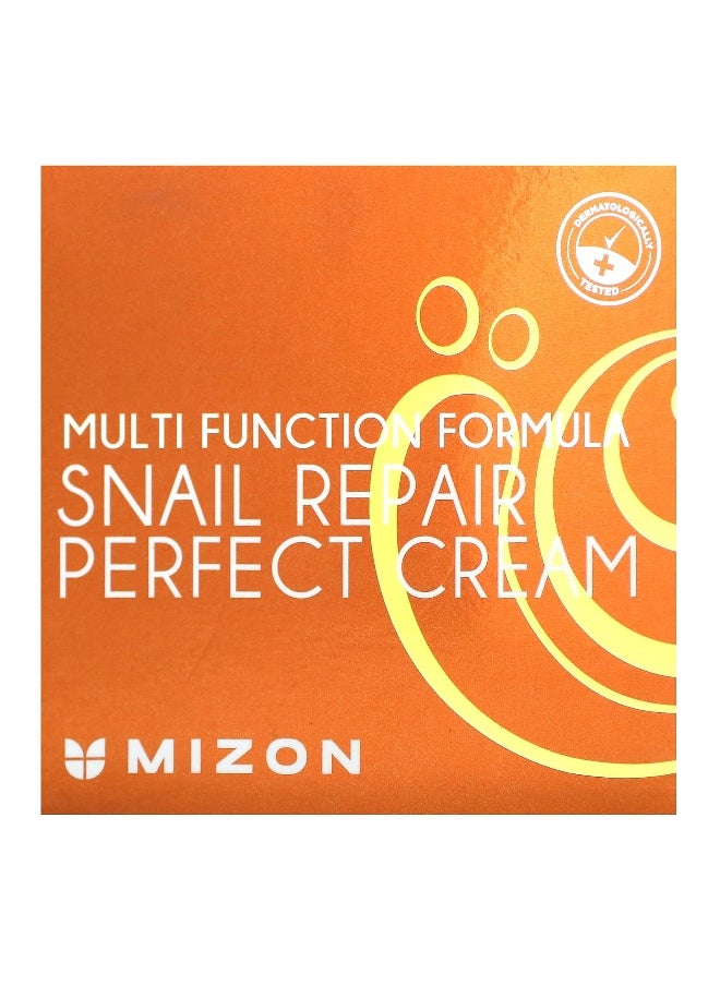 Mizon, Snail Repair Perfect Cream, 1.69 fl oz (50 ml)