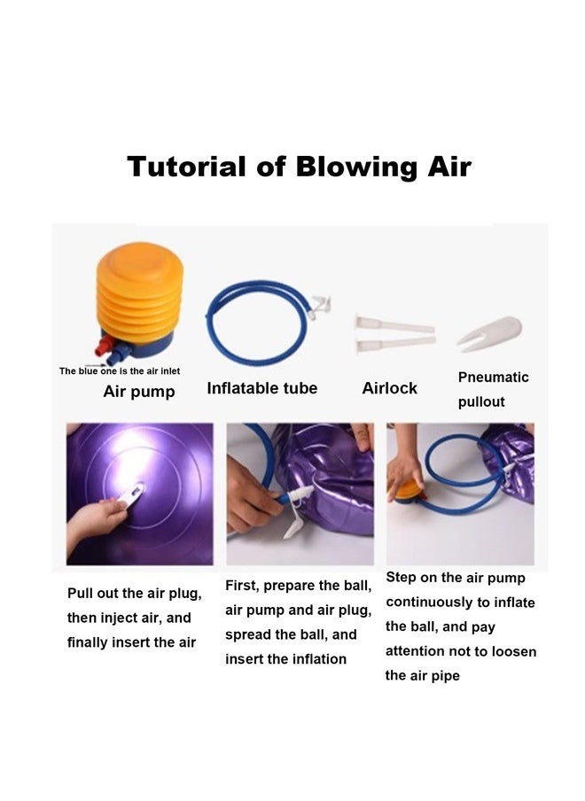 Exercise Ball, Explosion-Proof Yoga Balance Ball(25in /65cm) with Pump,Pregnancy, Balance & Physical Therapy, Fitness in Home/Gym