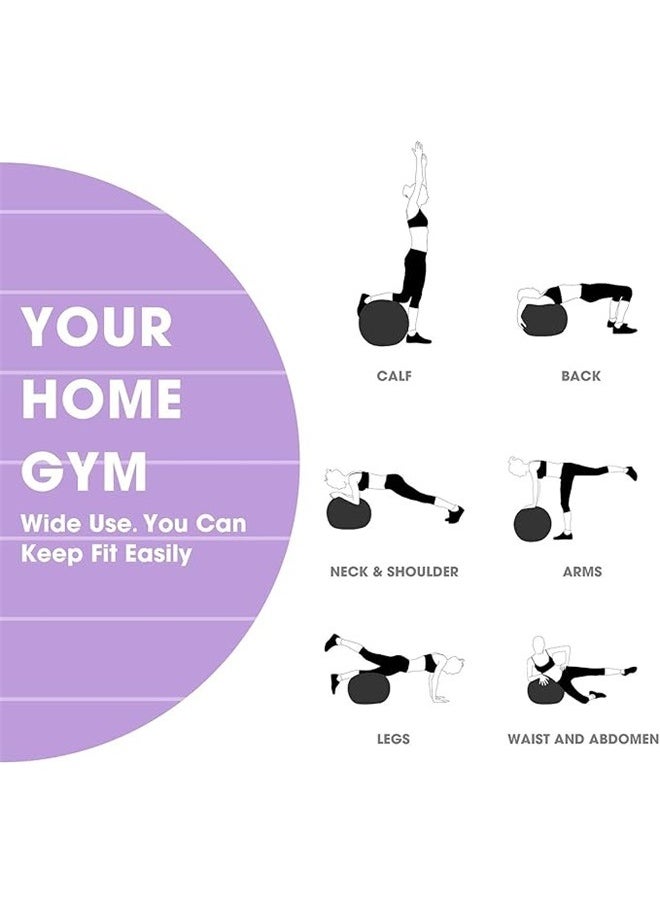 Exercise Ball, Explosion-Proof Yoga Balance Ball(25in /65cm) with Pump,Pregnancy, Balance & Physical Therapy, Fitness in Home/Gym