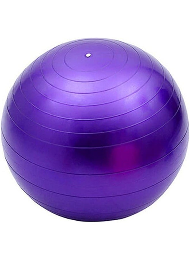 Exercise Ball, Explosion-Proof Yoga Balance Ball(25in /65cm) with Pump,Pregnancy, Balance & Physical Therapy, Fitness in Home/Gym