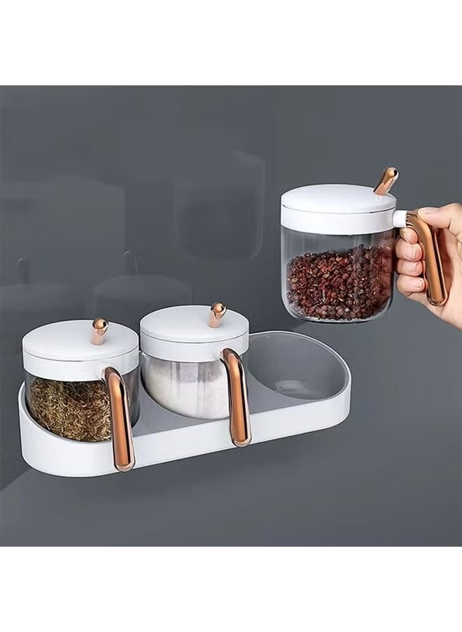 Spices Container Set, Seasoning Containers with Spoon, Wall-Mounted Salt Sugar Container Set, One-Piece Multi-Grid Spice Storage Containers, Transparent Seasoning Box, for Salt, Pepper, Sugar