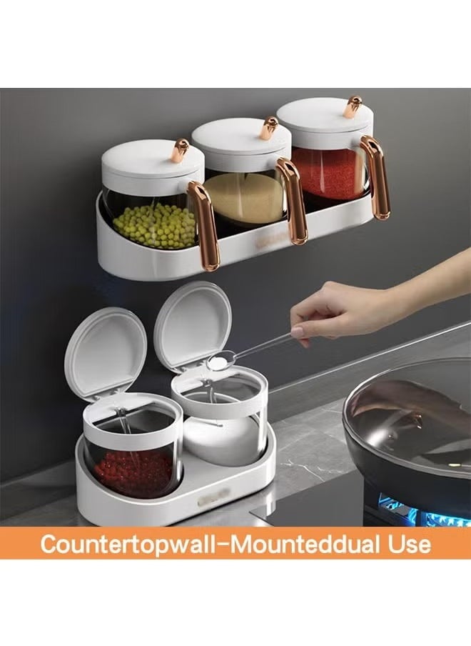 Spices Container Set, Seasoning Containers with Spoon, Wall-Mounted Salt Sugar Container Set, One-Piece Multi-Grid Spice Storage Containers, Transparent Seasoning Box, for Salt, Pepper, Sugar