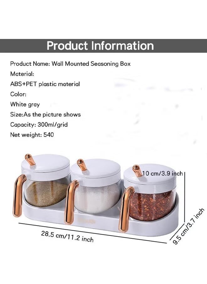 Spices Container Set, Seasoning Containers with Spoon, Wall-Mounted Salt Sugar Container Set, One-Piece Multi-Grid Spice Storage Containers, Transparent Seasoning Box, for Salt, Pepper, Sugar
