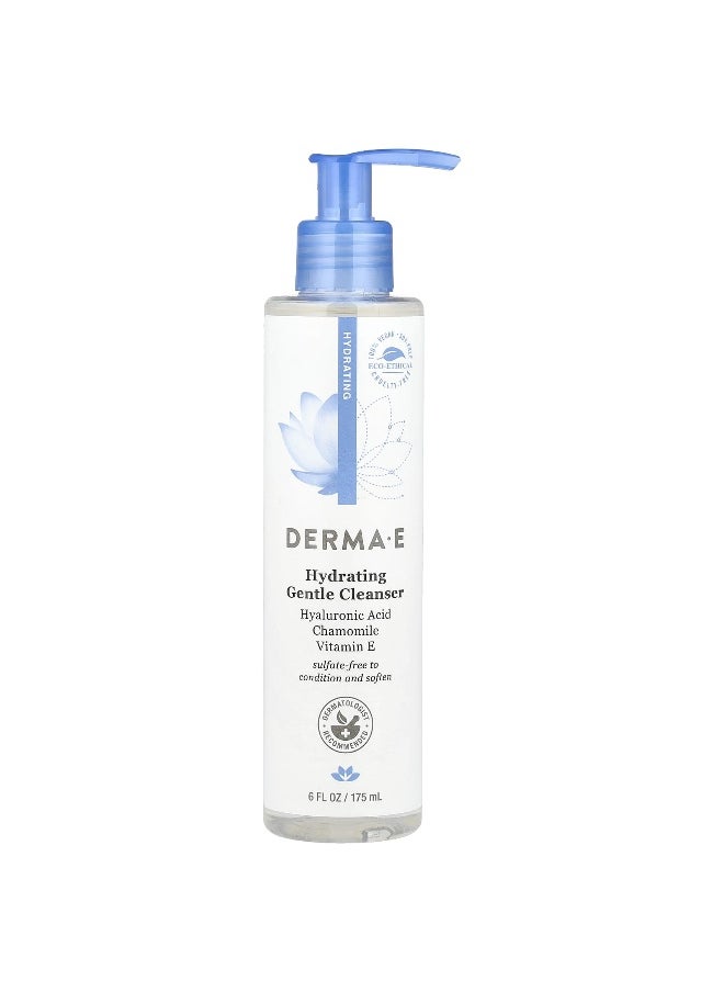 DERMA E, Hydrating Gentle Cleanser, Hyaluronic Acid, 6 fl oz (175 ml)