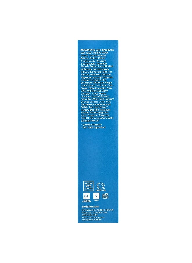 Andalou Naturals, Citrus Kombucha Cleansing Gel, Clear Skin, 6 fl oz (178 ml)
