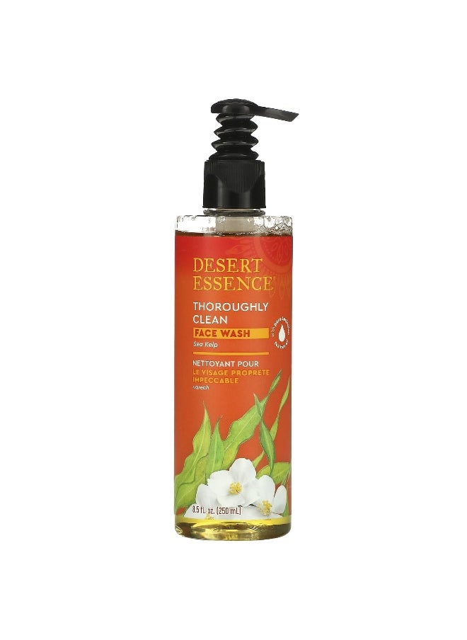 Desert Essence, Thoroughly Clean Face Wash, Sea Kelp, 8.5 fl oz (250 ml)