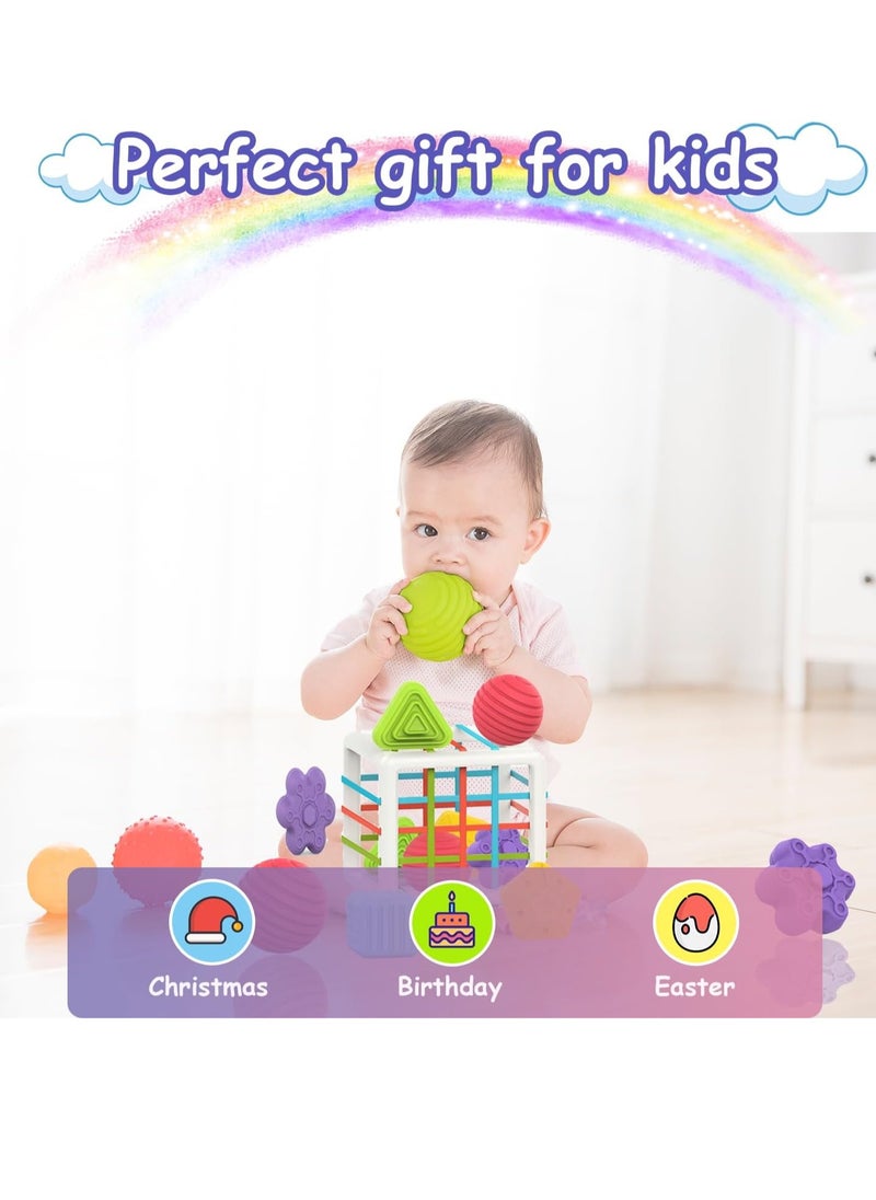 Montessori Toys for 1 Year Old, Toy 6 Pc Multi Sensory Shape, Toddler Developmental Learning Toys Birthday Gifts, Baby Toys 12 Month