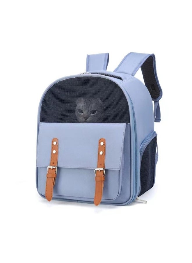 Cat outing bag