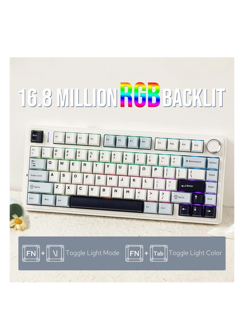 EPOMAKER x AULA F75 Gasket Mechanical Keyboard, 75% Wireless Hot Swappable Gaming Keyboard with Five-Layer Padding