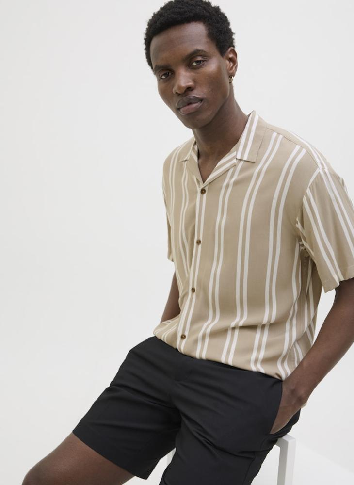 Stripe Regular Fit Shirt