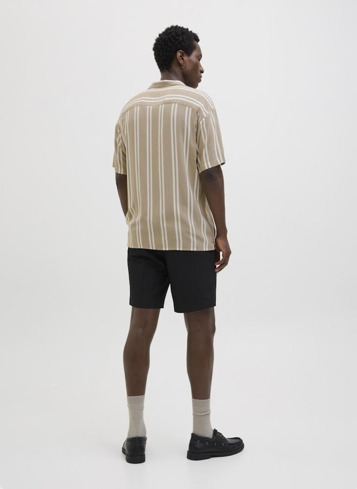 Stripe Regular Fit Shirt