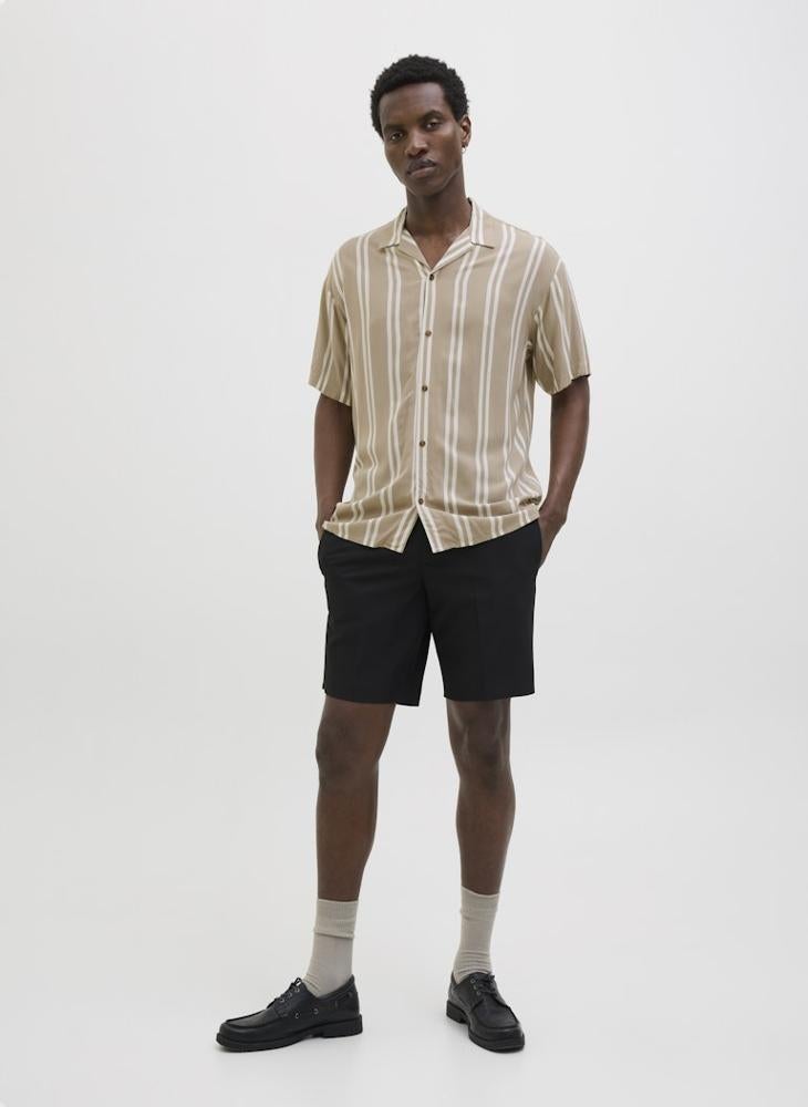 Stripe Regular Fit Shirt