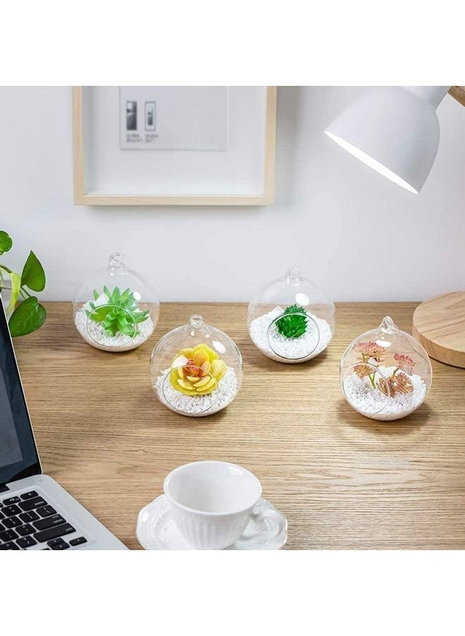 4 Pcs Hanging Glass Globes Planter Big Opening Air Fern Plants Vase Hanger Multicolour 6x10cm