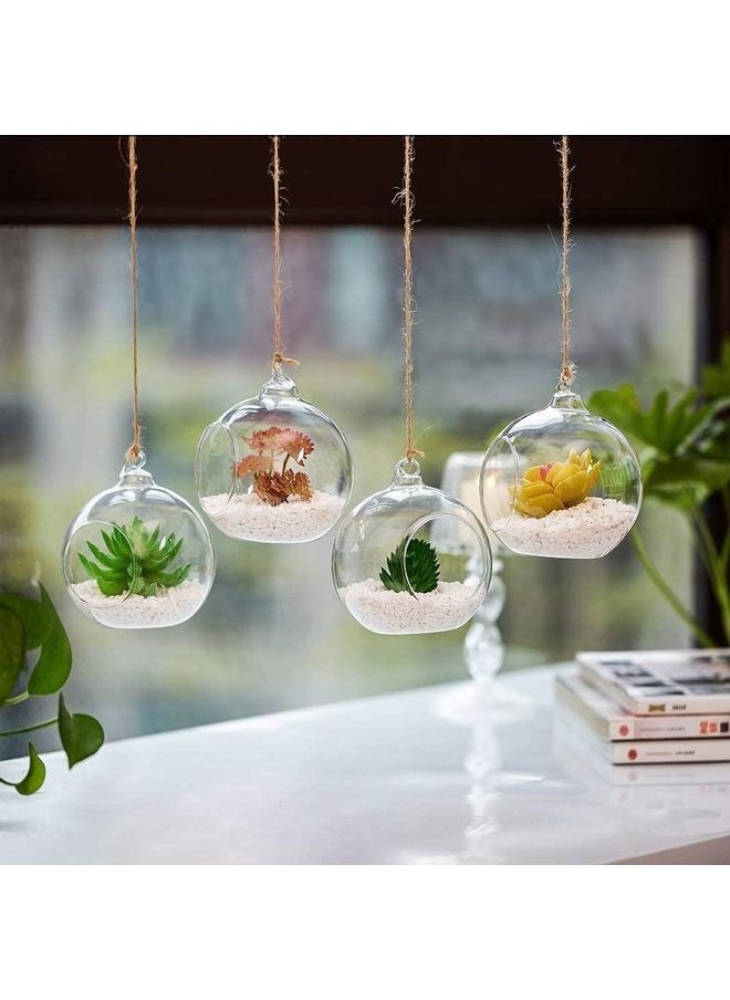 4 Pcs Hanging Glass Globes Planter Big Opening Air Fern Plants Vase Hanger Multicolour 6x10cm