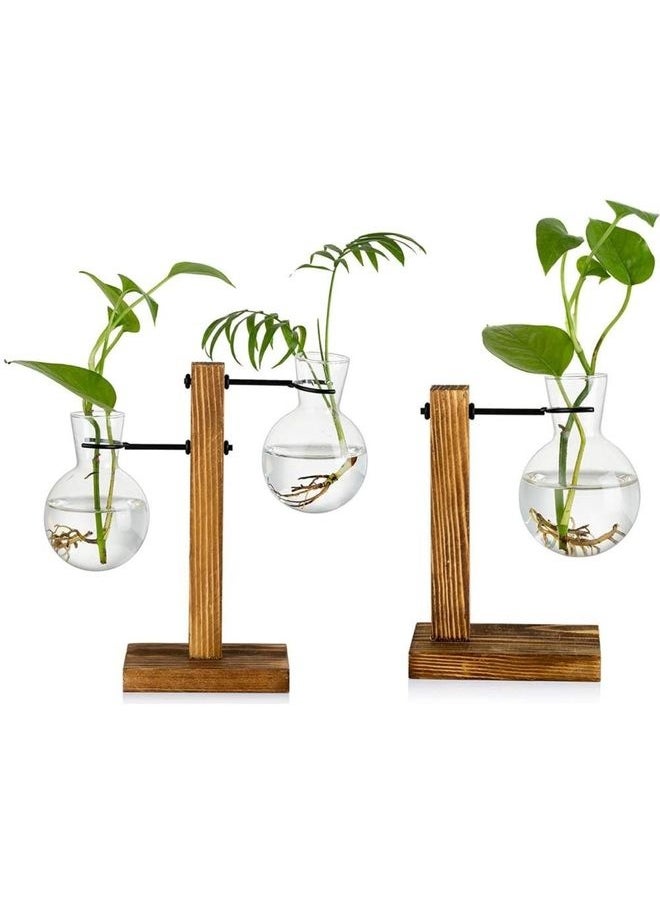 Creative Glass Plant Terrarium With Wooden Stand Multicolour one size cm