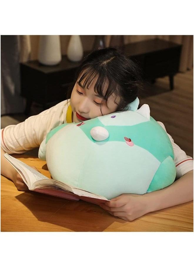 Anime Bird Plush Pillow, Genshin Impact Cosplay Props, Suitable for Home Decor